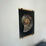 Ula Apartment *